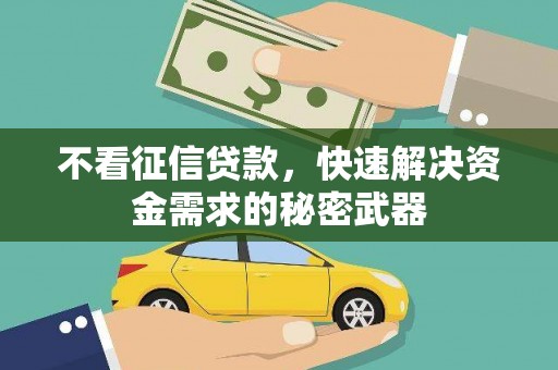 九龙不看征信贷款，快速解决资金需求的秘密武器