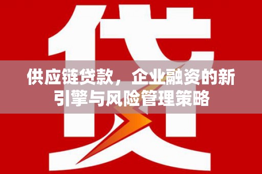 九龙供应链贷款，企业融资的新引擎与风险管理策略