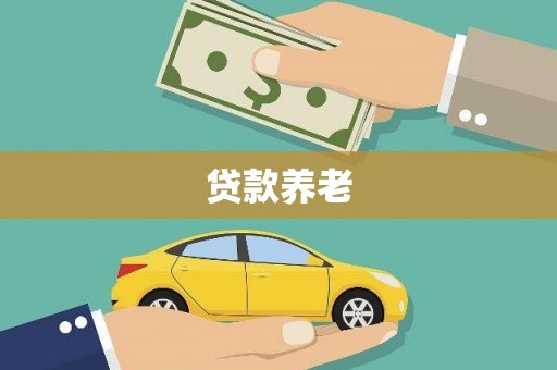 九龙贷款养老