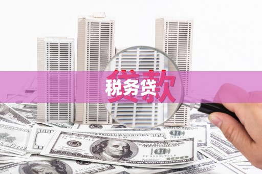 九龙税务贷