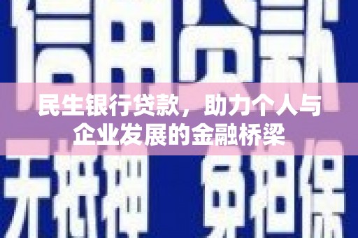 九龙民生银行贷款，助力个人与企业发展的金融桥梁