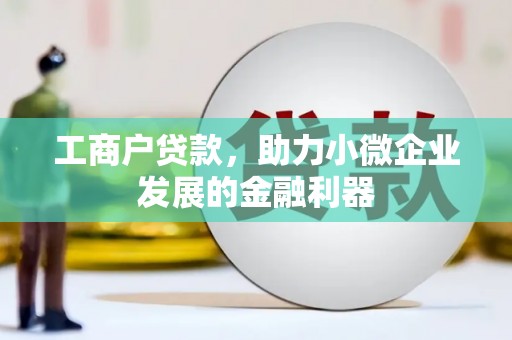 九龙工商户贷款，助力小微企业发展的金融利器