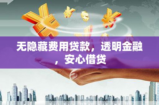 九龙无隐藏费用贷款，透明金融，安心借贷