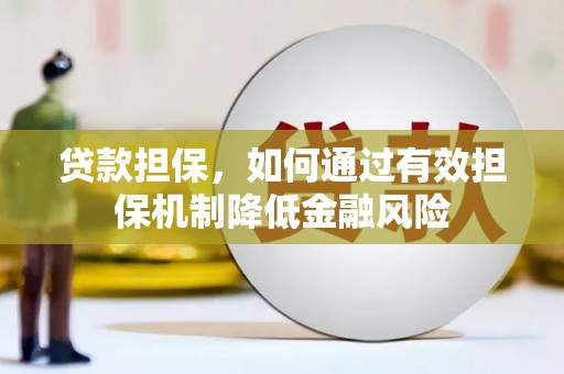 九龙贷款担保，如何通过有效担保机制降低金融风险