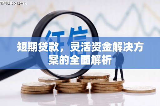 九龙短期贷款，灵活资金解决方案的全面解析