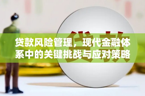 九龙贷款风险管理，现代金融体系中的关键挑战与应对策略