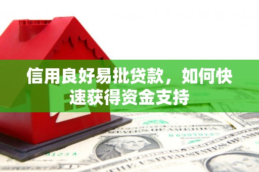 九龙信用良好易批贷款，如何快速获得资金支持