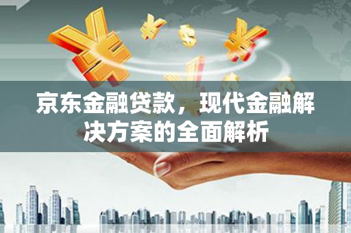 九龙京东金融贷款，现代金融解决方案的全面解析