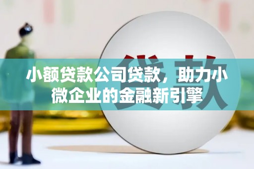 九龙小额贷款公司贷款，助力小微企业的金融新引擎