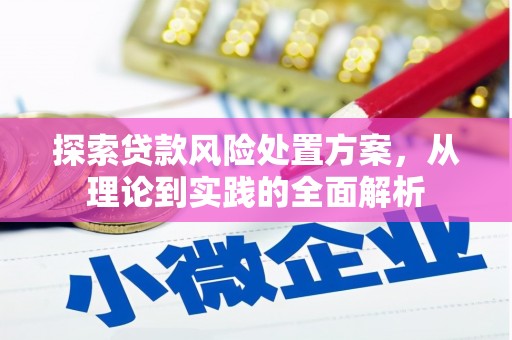 九龙探索贷款风险处置方案，从理论到实践的全面解析