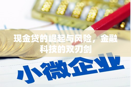 九龙现金贷的崛起与风险，金融科技的双刃剑