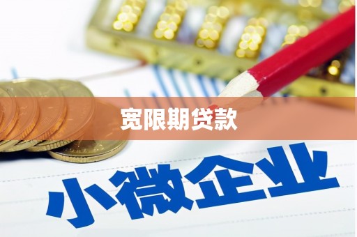 九龙宽限期贷款