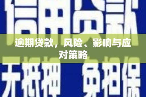 九龙逾期贷款，风险、影响与应对策略