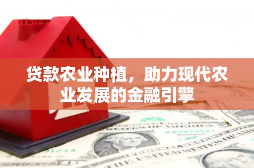 九龙贷款农业种植，助力现代农业发展的金融引擎
