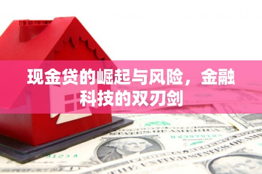 九龙现金贷的崛起与风险，金融科技的双刃剑