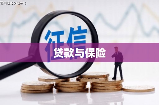 九龙贷款与保险
