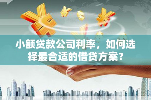 九龙小额贷款公司利率，如何选择最合适的借贷方案？