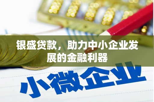 九龙银盛贷款，助力中小企业发展的金融利器