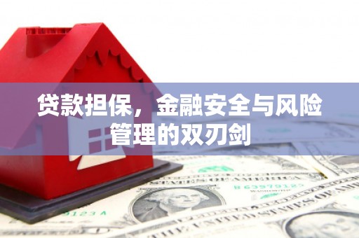九龙贷款担保，金融安全与风险管理的双刃剑