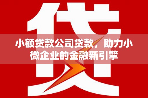 九龙小额贷款公司贷款，助力小微企业的金融新引擎