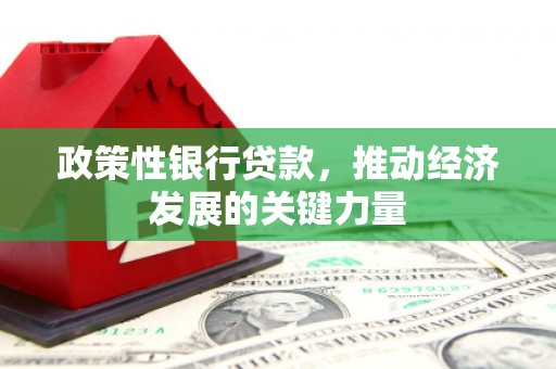 九龙政策性银行贷款，推动经济发展的关键力量