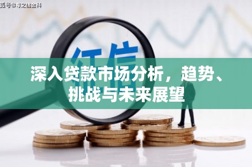 九龙深入贷款市场分析，趋势、挑战与未来展望