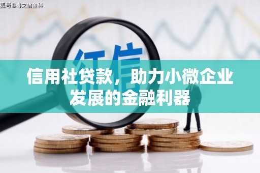九龙信用社贷款，助力小微企业发展的金融利器