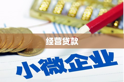 九龙经营贷款