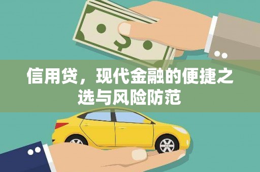 九龙信用贷，现代金融的便捷之选与风险防范