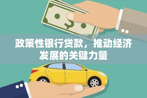 九龙政策性银行贷款，推动经济发展的关键力量