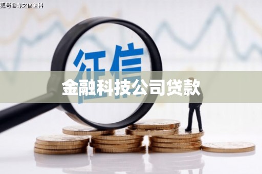 九龙金融科技公司贷款