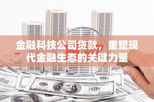 九龙金融科技公司贷款，重塑现代金融生态的关键力量