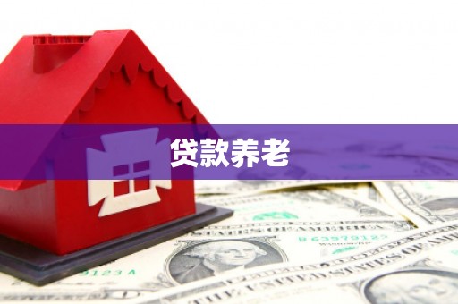 九龙贷款养老
