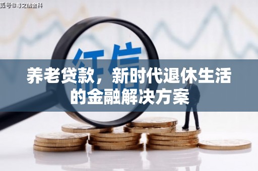 九龙养老贷款，新时代退休生活的金融解决方案