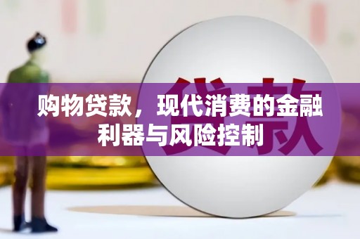 九龙购物贷款，现代消费的金融利器与风险控制