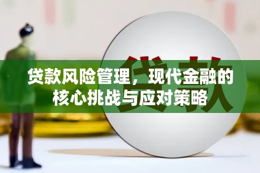 九龙贷款风险管理，现代金融的核心挑战与应对策略
