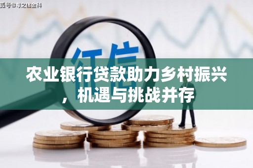 九龙农业银行贷款助力乡村振兴，机遇与挑战并存
