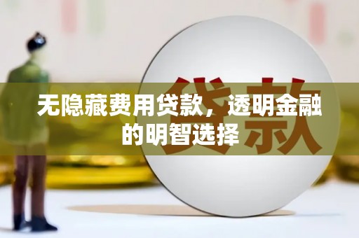 九龙无隐藏费用贷款，透明金融的明智选择