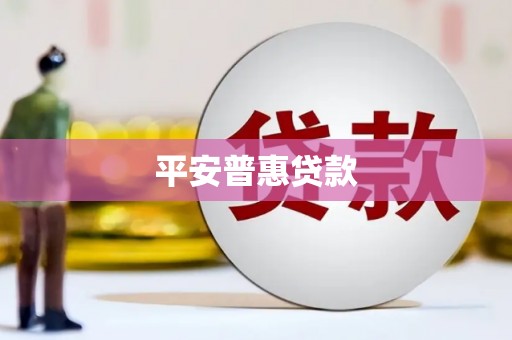 九龙平安普惠贷款