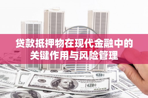九龙贷款抵押物在现代金融中的关键作用与风险管理
