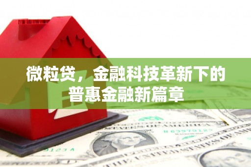 九龙微粒贷，金融科技革新下的普惠金融新篇章