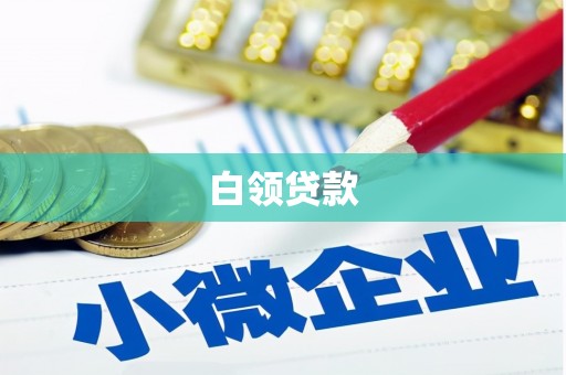 九龙白领贷款