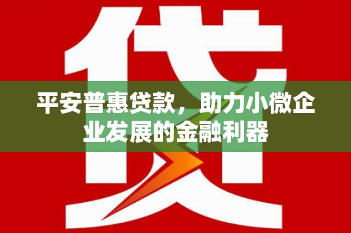 九龙平安普惠贷款，助力小微企业发展的金融利器