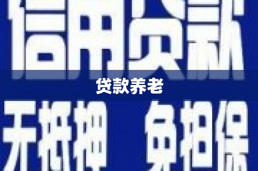 九龙贷款养老