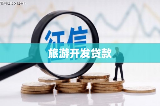 九龙旅游开发贷款
