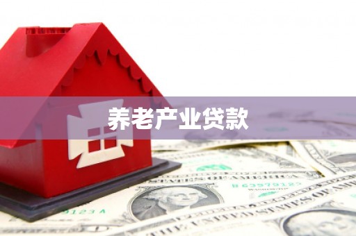 九龙养老产业贷款