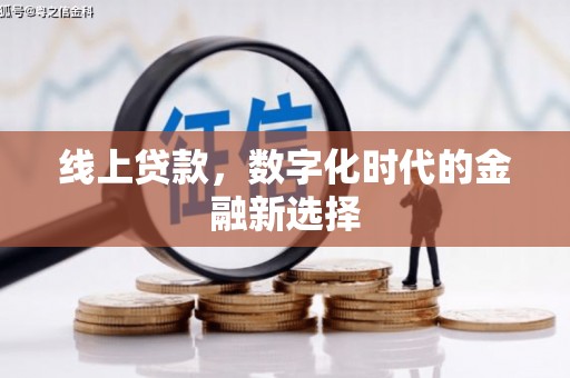 九龙线上贷款，数字化时代的金融新选择