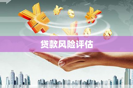 九龙贷款风险评估