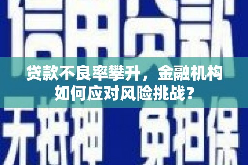 九龙贷款不良率攀升，金融机构如何应对风险挑战？
