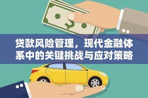 九龙贷款风险管理，现代金融体系中的关键挑战与应对策略